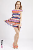 Multi coloured Stripes Skater Dress